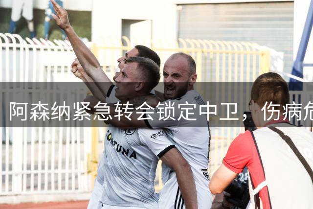 阿森纳紧急转会锁定中卫，伤病危机催生引援新方向